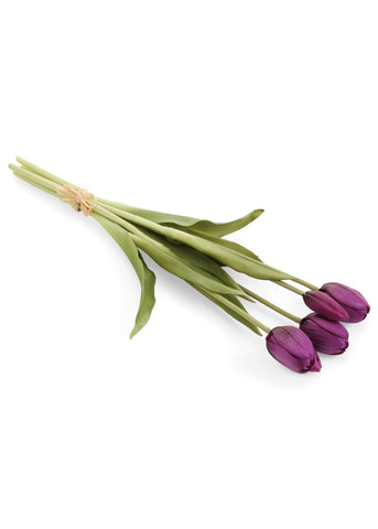 Bundle Tulips, Purple
