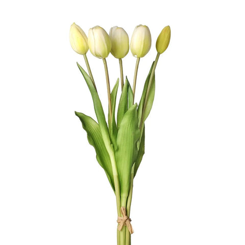 Bundle Tulips, White