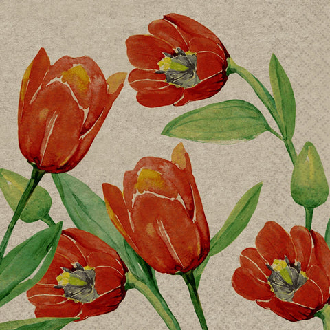 Paper Lunch Napkins, Natural Tulip