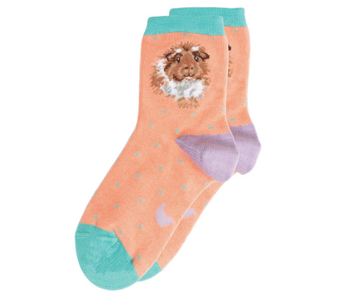 Wrendale Kid's Socks, Grinny Pig