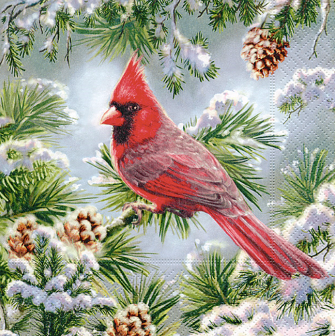 Paper Lunch Napkins, Red Cardinal