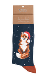 Wrendale Men's Sock, Festive Fox