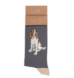 Wrendale Men's Socks, Willow (Spaniel)