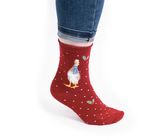 Wrendale Women's Sock, Christmas Duck