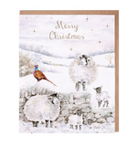 Merry Christmas to Ewe Card Pack