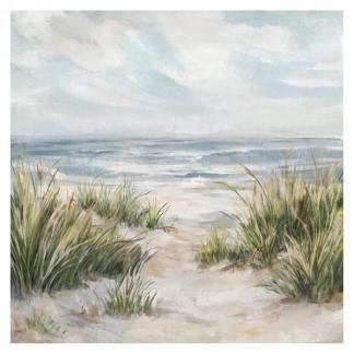 Grass On The Beach Canvas
