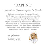 Wrendale Daphne Guinea Pig Plush, Large