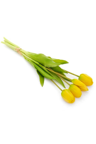 Bundle Tulips, Yellow