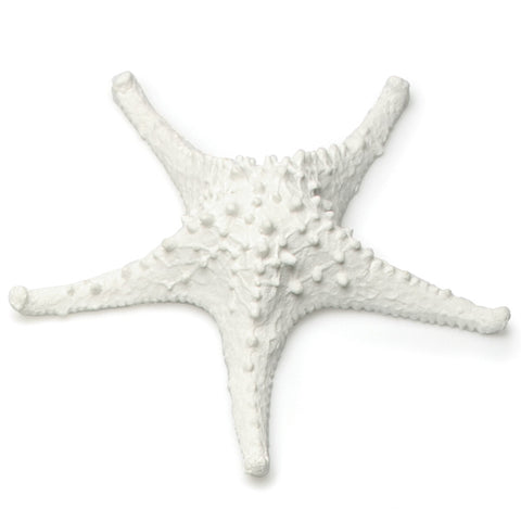 Medium 3D Starfish
