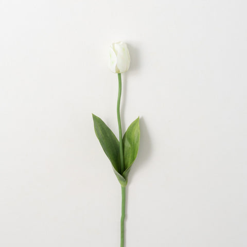 Garden Tulip Stem, White