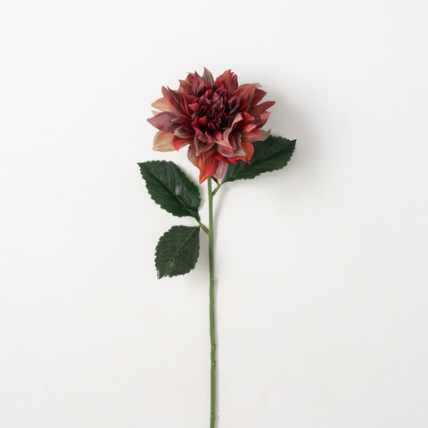 Dahlia Stem, Burgundy