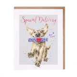Wrendale Party Animal Birthday Cards